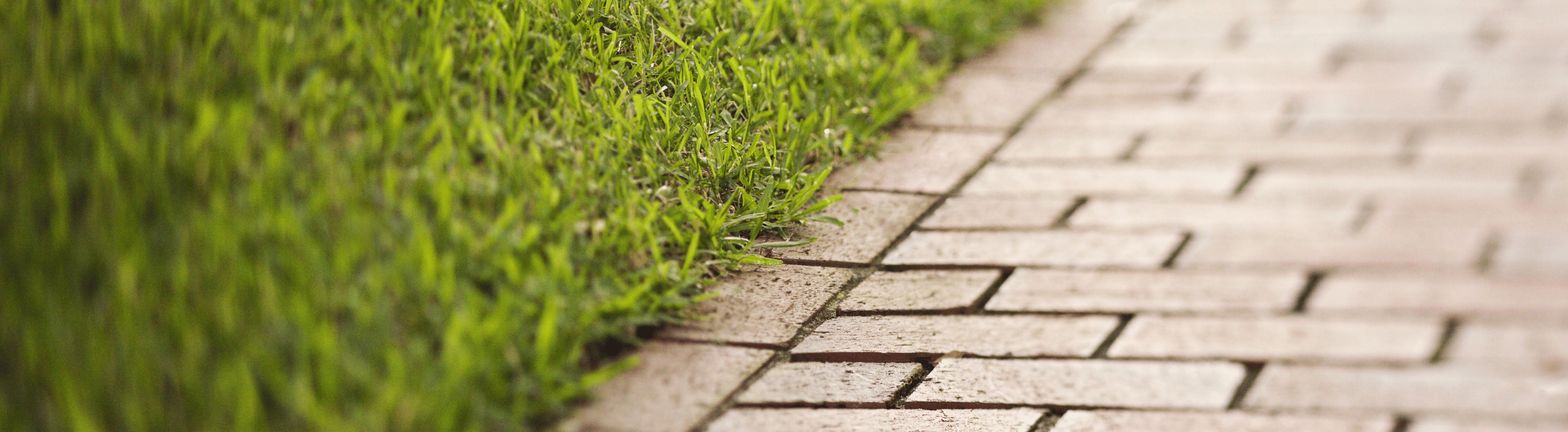 Home - RASM | REALTOR® Association of Sarasota and Manatee